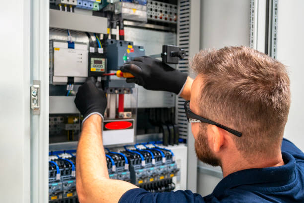 Best Electric Panel Repair  in Mcnair, VA